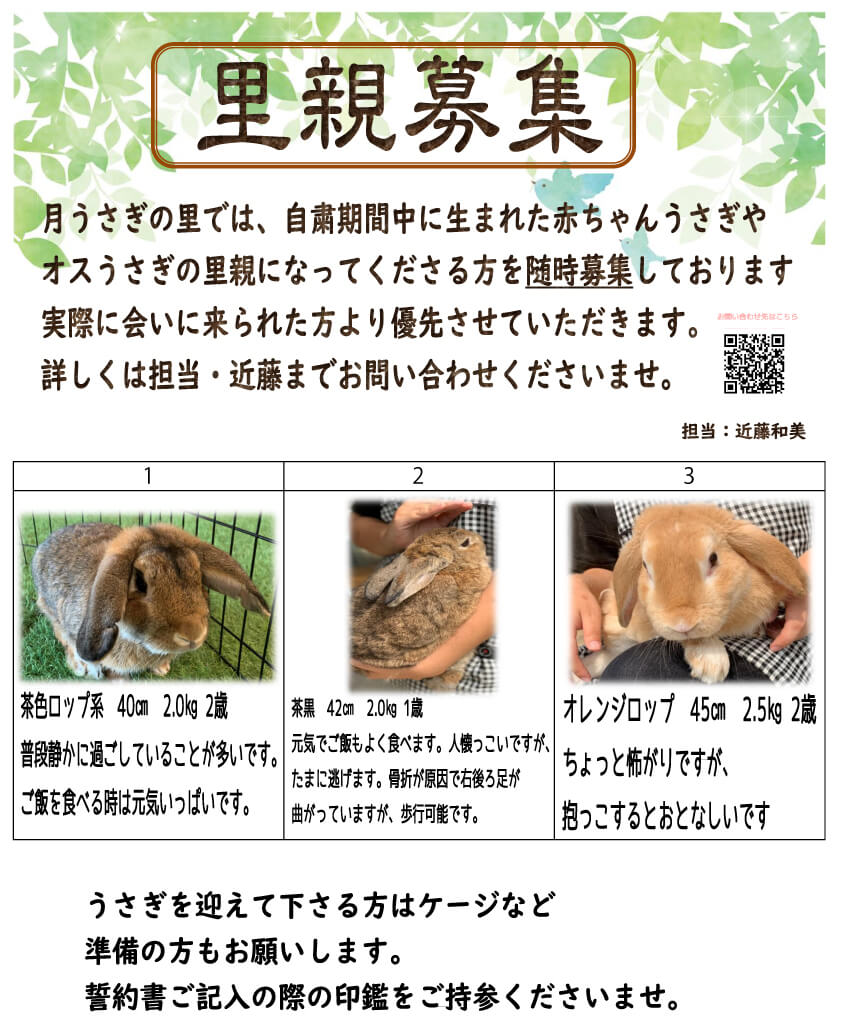 月うさぎの里 加賀の月うさぎ伝説 うさぎと遊ぶ うさぎを見る 月うさぎの里 加賀の月うさぎ伝説 うさぎと遊ぶ うさぎを見る